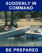 Suddenly In Command Book